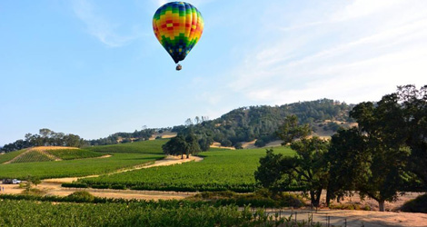 Napa-3